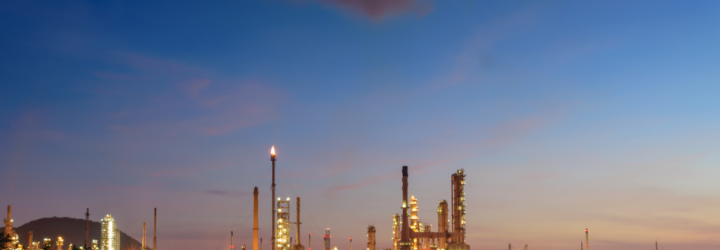 How are petrochemicals processed?