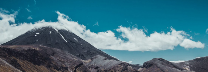 Energy Sector in New Zealand