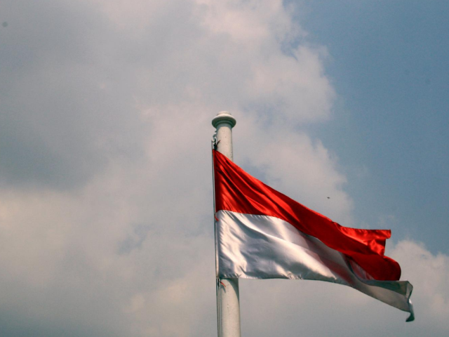 Energy Sector in Indonesia