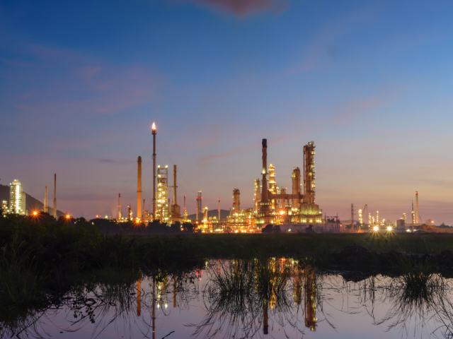 How are petrochemicals processed?