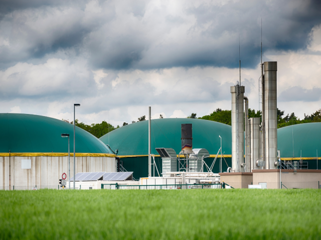 PREDICTIONS FOR 2025 IN THE GLOBAL RENEWABLE ENERGY SECTOR