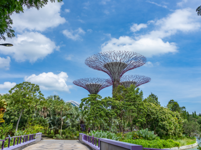 Singapore’s Green Energy Plan